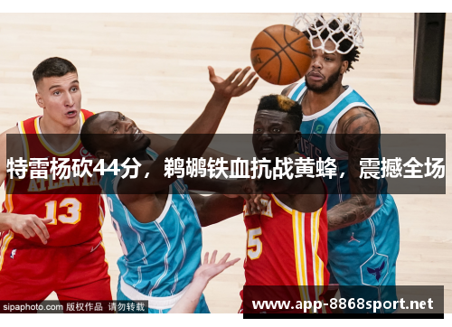 特雷杨砍44分，鹈鹕铁血抗战黄蜂，震撼全场
